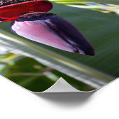 Bananenessen und Blume Stalk Poster (Ecke)