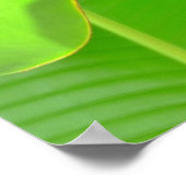 Bananenfalten Poster (Ecke)