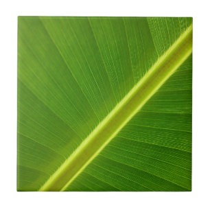 Bananenleaf Fliese