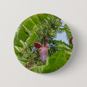 Bananenplantage in Sok Kwu Wan Lamma Island Button