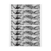 Bananenprogramme 3 (Bogen)