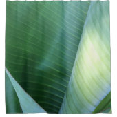 Bananenprogramme Abstrakt 37 Duschvorhang (Vorderseite)