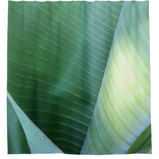 Bananenprogramme Abstrakt 37 Duschvorhang (Vorderseite)