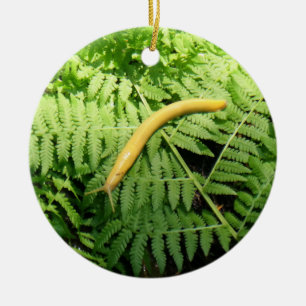 Bananenschnecke auf Farnen I Keramik Ornament