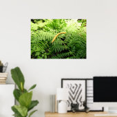 Bananenschnecke auf Farnen I Poster (Heimbüro)