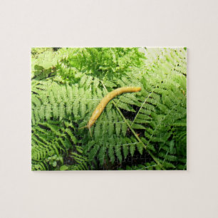 Bananenschnecke auf Farnen I Puzzle