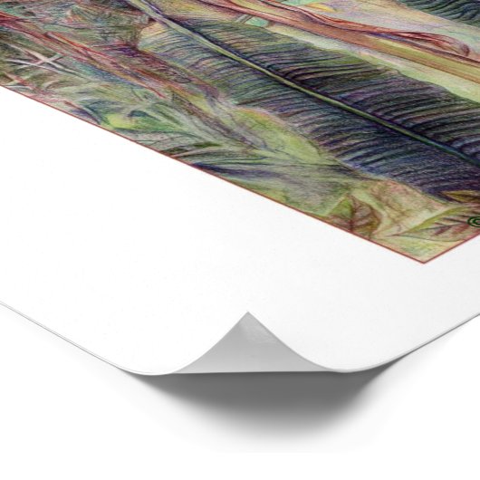 Bananenstauden © 2010 poster (Ecke)