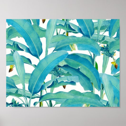 Bananenwald Poster (Vorne)