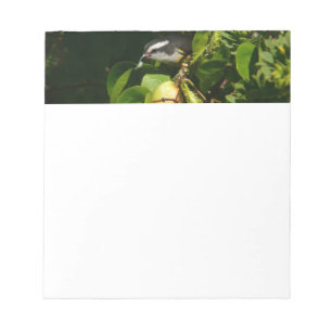 Bananquit-Vogel frisst tropische Fotografie Notizblock