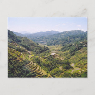 Banaue Rice Terraces Postkarte