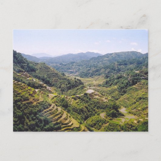 Banaue Rice Terraces Postkarte (Vorderseite)