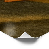 Band der Wildnis und Unschuld (Koala) Poster (Ecke)