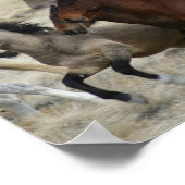 Band Of One Poster (Ecke)