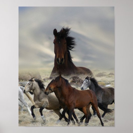 Band Of One Poster (Vorne)