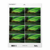 Banded Aurora (Vorne)