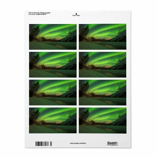 Banded Aurora (Vorne)