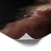 Banded Coral Shrimp Poster (Ecke)