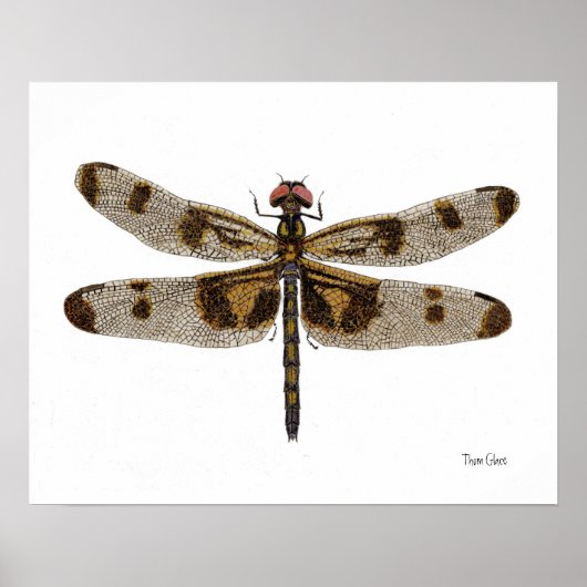 Banded Pennant Dragonfly Art Poster (Vorne)