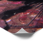 Banded Sea Snake Poster (Ecke)