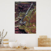 Banded Sea Snake Poster (Küche)