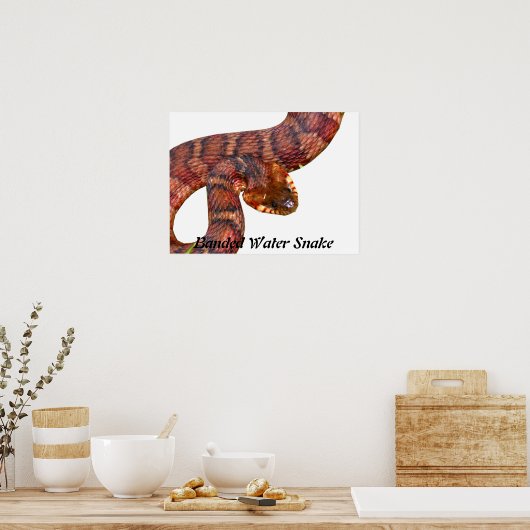 Banded Water Schlange Poster (Küche)