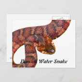 Banded Water Schlange Postkarte (Vorne/Hinten)