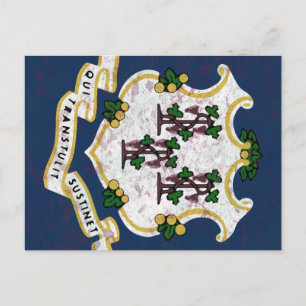 Bandeira de Connecticut Postkarte