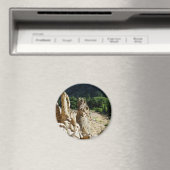 Bandelier National Monument Magnet (In Situ (Geschirrspüler))