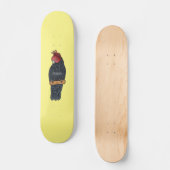 Bandenvogel-Cartoon Skateboard (Vorderseite)