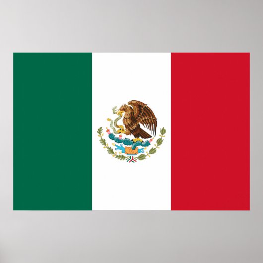 Bandera de Mexico National flagge Mexicanos Poster (Vorne)