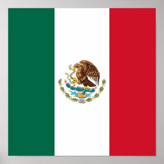 Bandera de Mexico National flagge Mexicanos Poster (Vorne)