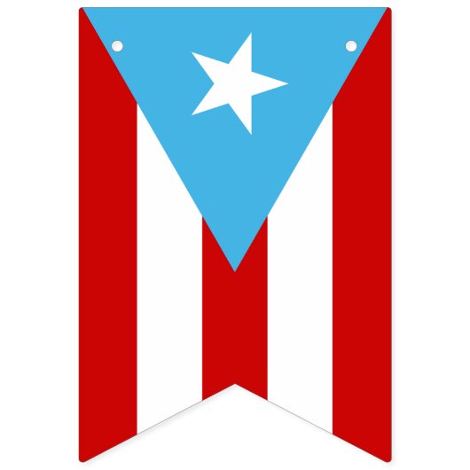 Bandera De Puerto Rico Azul Celeste Wimpelkette (Dritte Fahne)