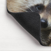 Bandit an der Erholung Niedlich Raccoon Mousepad (Ecke)
