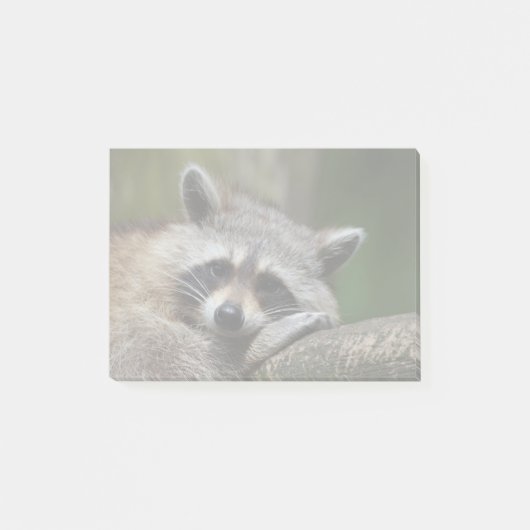 Bandit an Erholungniedlichem Raccoon Post-it Klebezettel (Vorderseite)