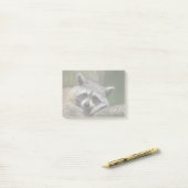 Bandit an Erholungniedlichem Raccoon Post-it Klebezettel (Auf Schreibtisch)
