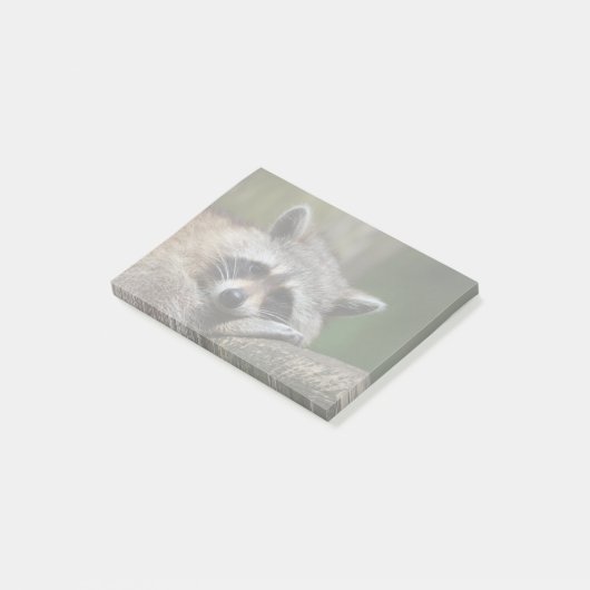 Bandit an Erholungniedlichem Raccoon Post-it Klebezettel (angewinkelt)