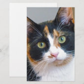 Bandit Briefpapier (Vorne/Hinten)