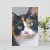 Bandit Briefpapier (Stehend Vorderseite)