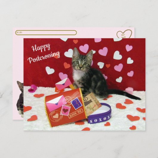 Bandit Die Postüberquerung der Valentinischen Post Postkarte (Vorne/Hinten)