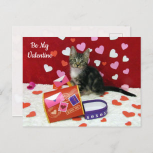 Bandit Die Valentine Postkarte der Katze