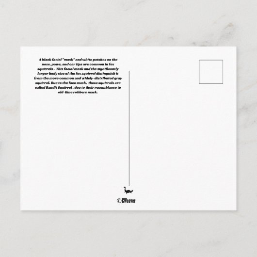 Bandit-Eichhörnchen Postkarte (Rückseite)