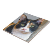 Bandit Fliese (Seite)