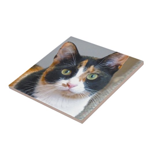 Bandit Fliese (Seite)