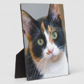 Bandit Fotoplatte (Seite)