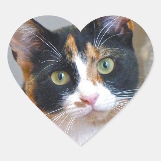 Bandit Herz-Aufkleber (Vorderseite)