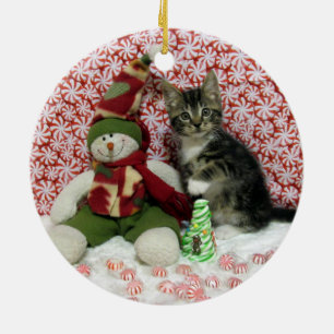 Bandit-Kätzchen-Katzen-Rettungs-Weihnachten Keramik Ornament