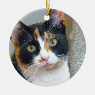 Bandit Keramik Ornament