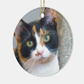 Bandit Keramik Ornament (Links)