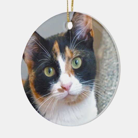 Bandit Keramik Ornament (Links)