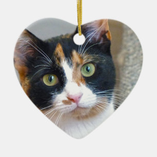 Bandit Keramikornament